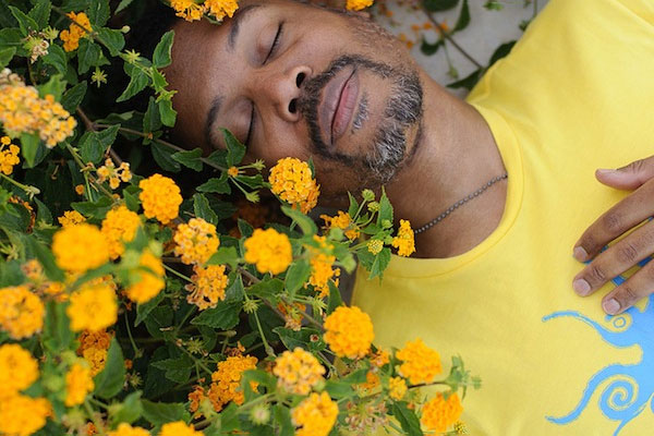 man laying in field of flowers