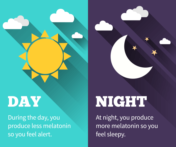 During the day, you produce less melatonin so you feel alert. At night, you produce more melatonin so you feel sleepy.